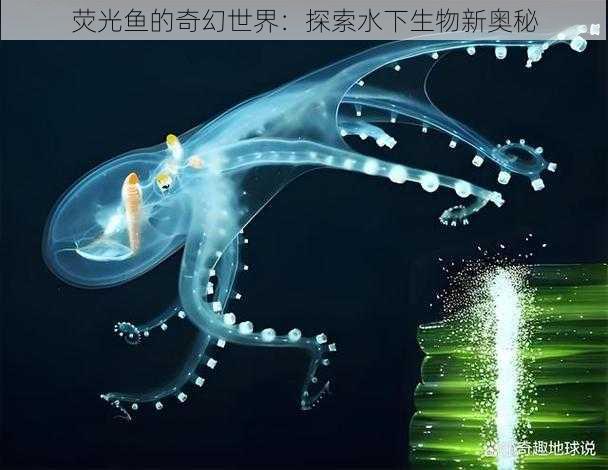 荧光鱼的奇幻世界：探索水下生物新奥秘