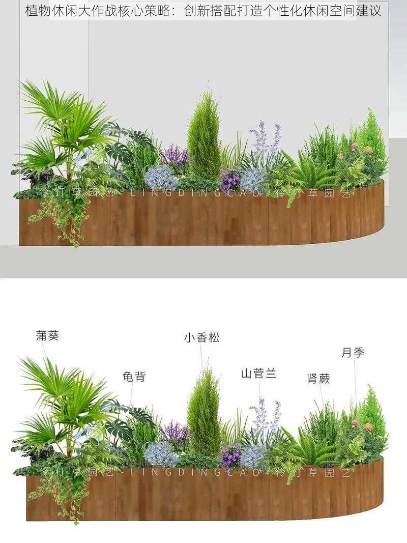 植物休闲大作战核心策略：创新搭配打造个性化休闲空间建议